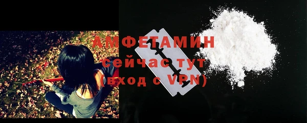 шишки Белоозёрский