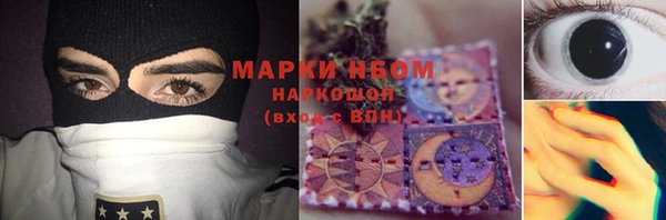 шишки Белоозёрский