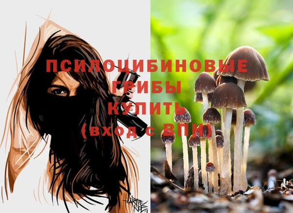 apvp Беломорск