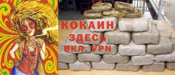 PSILOCYBIN Белокуриха