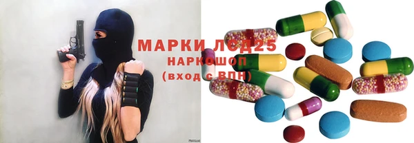 PSILOCYBIN Белокуриха