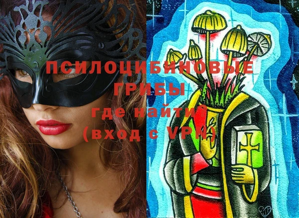 шишки Белоозёрский
