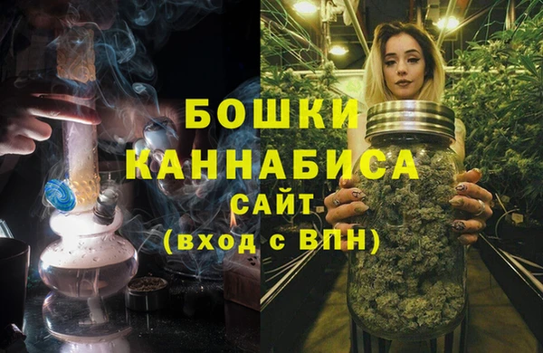 шишки Белоозёрский