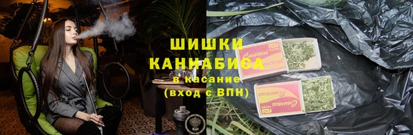 PSILOCYBIN Белокуриха